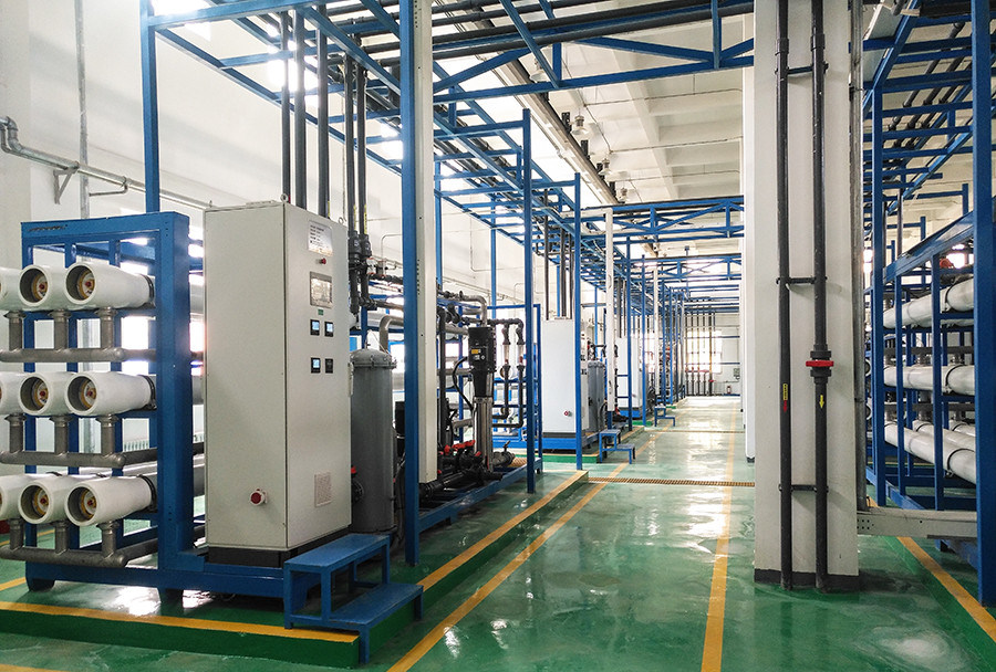 1000LPH Water Treatment Plant RO Reverse Osmosis System Electrodeionization EDI